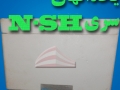 یخدان یونولیتی NSH